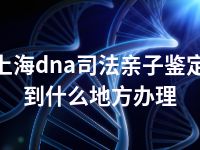 上海dna司法亲子鉴定到什么地方办理