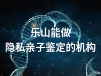 乐山能做隐私亲子鉴定的机构