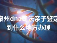 泉州dna司法亲子鉴定到什么地方办理