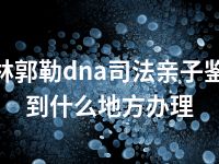 锡林郭勒dna司法亲子鉴定到什么地方办理