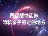 西双版纳能做隐私亲子鉴定的地方