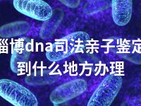 淄博dna司法亲子鉴定到什么地方办理