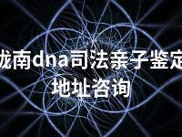 陇南dna司法亲子鉴定地址咨询