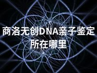 商洛无创DNA亲子鉴定所在哪里