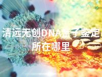 清远无创DNA亲子鉴定所在哪里