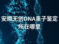 安顺无创DNA亲子鉴定所在哪里