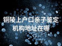 铜陵上户口亲子鉴定机构地址在哪