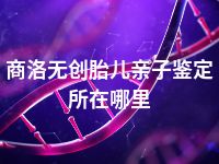 商洛无创胎儿亲子鉴定所在哪里