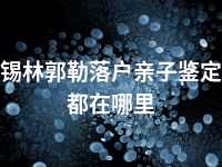 锡林郭勒落户亲子鉴定都在哪里