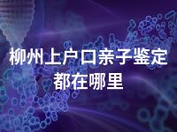 柳州上户口亲子鉴定都在哪里