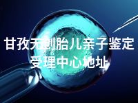 甘孜无创胎儿亲子鉴定受理中心地址