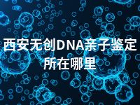 西安无创DNA亲子鉴定所在哪里