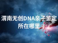 渭南无创DNA亲子鉴定所在哪里