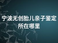 宁波无创胎儿亲子鉴定所在哪里