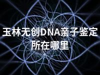 玉林无创DNA亲子鉴定所在哪里