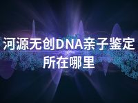 河源无创DNA亲子鉴定所在哪里