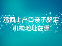 鸡西上户口亲子鉴定机构地址在哪