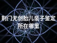 荆门无创胎儿亲子鉴定所在哪里