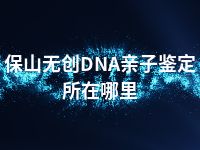 保山无创DNA亲子鉴定所在哪里