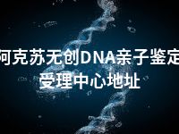 阿克苏无创DNA亲子鉴定受理中心地址