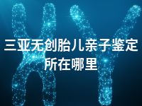 三亚无创胎儿亲子鉴定所在哪里