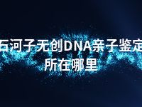 石河子无创DNA亲子鉴定所在哪里