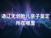 通辽无创胎儿亲子鉴定所在哪里