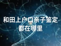 和田上户口亲子鉴定都在哪里