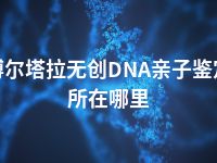 博尔塔拉无创DNA亲子鉴定所在哪里