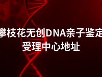 攀枝花无创DNA亲子鉴定受理中心地址