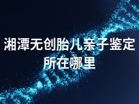 湘潭无创胎儿亲子鉴定所在哪里