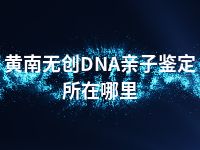 黄南无创DNA亲子鉴定所在哪里