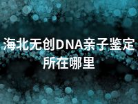 海北无创DNA亲子鉴定所在哪里