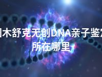 图木舒克无创DNA亲子鉴定所在哪里