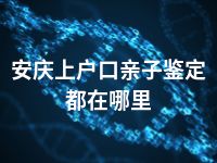 安庆上户口亲子鉴定都在哪里