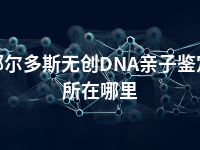 鄂尔多斯无创DNA亲子鉴定所在哪里