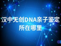 汉中无创DNA亲子鉴定所在哪里