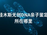 佳木斯无创DNA亲子鉴定所在哪里