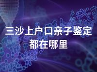 三沙上户口亲子鉴定都在哪里