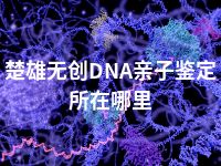 楚雄无创DNA亲子鉴定所在哪里