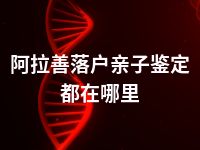 阿拉善落户亲子鉴定都在哪里