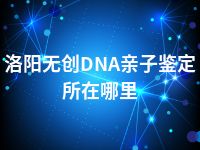 洛阳无创DNA亲子鉴定所在哪里