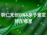 铜仁无创DNA亲子鉴定所在哪里