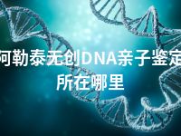 阿勒泰无创DNA亲子鉴定所在哪里