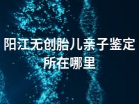 阳江无创胎儿亲子鉴定所在哪里