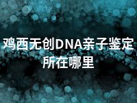 鸡西无创DNA亲子鉴定所在哪里