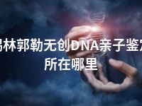 锡林郭勒无创DNA亲子鉴定所在哪里