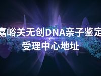 嘉峪关无创DNA亲子鉴定受理中心地址