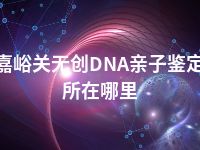 嘉峪关无创DNA亲子鉴定所在哪里