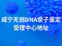 咸宁无创DNA亲子鉴定受理中心地址